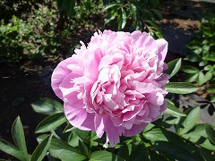 しゅういつ　秀逸