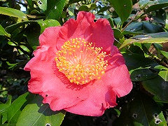 あさひのみなと　旭の湊