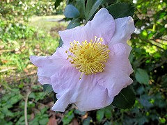 エクスクイジット